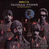 Vanilla Fudge - Renaissance in the group CD / Rock at Bengans Skivbutik AB (4290982)