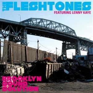 Fleshtones The - Brooklyn Sound Solution (Deluxe) in the group CD / Pop-Rock at Bengans Skivbutik AB (4291055)