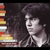 Jacobs-Strain David - Ocean Or A Teardrop in the group CD / Jazz at Bengans Skivbutik AB (4291212)