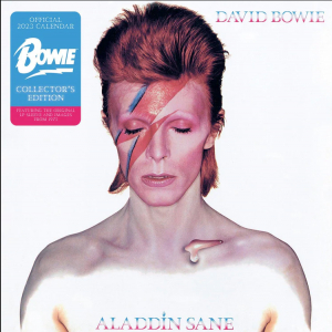 David Bowie - David Bowie 2023 Calendar Collectors Record Sleeve, Plastic Free, Official Produ in the group CDON - Exporterade Artiklar_Manuellt /  at Bengans Skivbutik AB (4291497)
