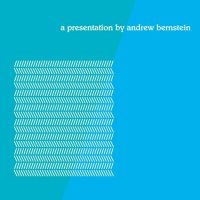 Bernstein Andrew - A Presentation in the group CD / Jazz,Pop-Rock at Bengans Skivbutik AB (4293460)