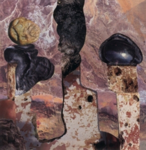 Singer Liam - Finish Him in the group CD / Pop-Rock at Bengans Skivbutik AB (4294001)