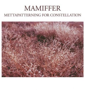 Mamiffer - Mettapatterning For Constellation in the group VINYL / Pop-Rock at Bengans Skivbutik AB (4295947)