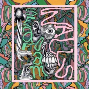 Seafoam Walls - Xvi (Green) in the group VINYL / Rock at Bengans Skivbutik AB (4295978)