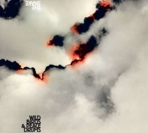 Wildbirds & Peacedrums - The Snake in the group CD / Pop-Rock at Bengans Skivbutik AB (4296170)