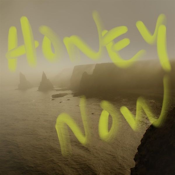 Neon Waltz - Honey Now in the group CD / Rock at Bengans Skivbutik AB (4298371)