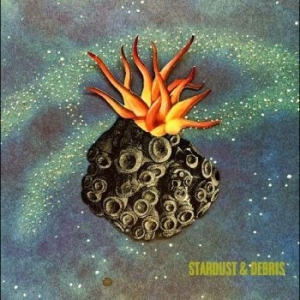 Wenglén Lotta - Stardust & Debris in the group CD / Pop-Rock at Bengans Skivbutik AB (4300242)