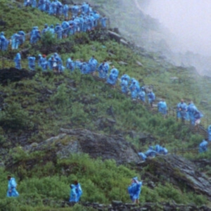 Barnett Courtney - End Of The Day (Music From The Film in the group VINYL / Film-Musikal at Bengans Skivbutik AB (4300369)