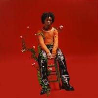 D4vd - Petals To Thorns in the group VINYL / Pop-Rock at Bengans Skivbutik AB (4300568)