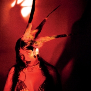 Lobo Fran - Burning It Feels Like in the group CD / Pop at Bengans Skivbutik AB (4301033)