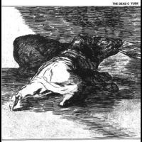 Dead C. - Tusk in the group VINYL / Pop-Rock at Bengans Skivbutik AB (4302270)