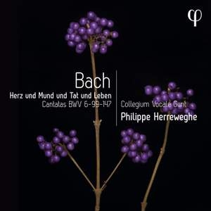 Bach Johann Sebastian - Herz Und Mund Und Tat Und Leben - C in the group Externt_Lager /  at Bengans Skivbutik AB (4303083)