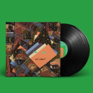 Animal Collective - Isn't It Now? in the group VINYL / Pop-Rock at Bengans Skivbutik AB (4303165)