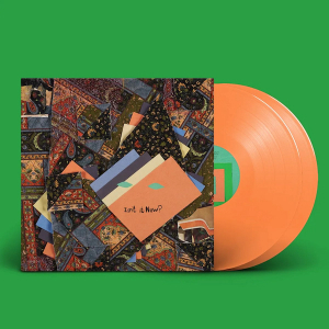 Animal Collective - Isn't It Now? (Orange Vinyl) in the group OUR PICKS / Best Album 2023 / Årsbästa 23 Viktor L at Bengans Skivbutik AB (4303166)