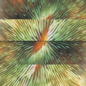 Active Surplus - Mirroring in the group VINYL / Pop-Rock at Bengans Skivbutik AB (4303757)