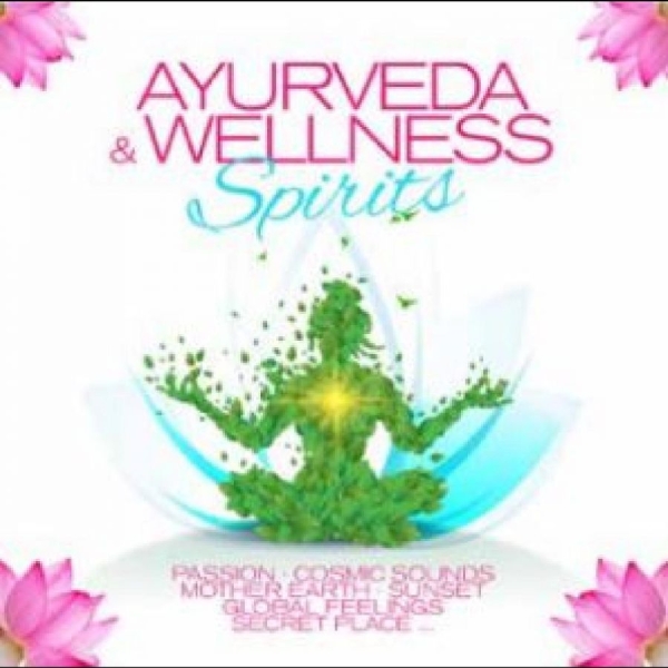 Various Artists - Ayurveda & Wellness Spirits in the group CD / Bestsellers at Bengans Skivbutik AB (4304362)