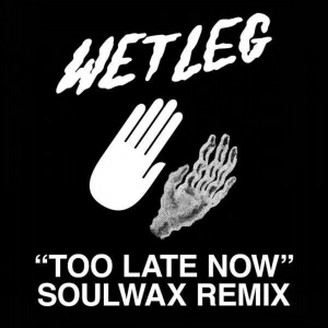 Wet Leg - Too Late Now (Soulwax Remix) in the group VINYL / Rock at Bengans Skivbutik AB (4304528)
