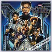BLACK PANTHER 2023 SQUARE CALENDAR in the group OUR PICKS / Recommended Calenders at Bengans Skivbutik AB (4305266)