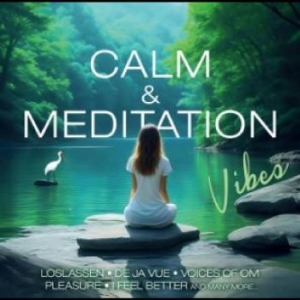 Various Artists - Calm & Meditation Vibes in the group MUSIK / Dual Disc / Pop-Rock at Bengans Skivbutik AB (4305560)