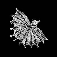 Xiu Xiu - Ignore Grief in the group VINYL / Hårdrock,Pop-Rock at Bengans Skivbutik AB (4306319)