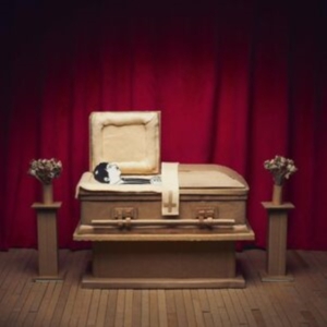 Pepper Gregory & His Problems - No Thanks in the group VINYL / Hårdrock at Bengans Skivbutik AB (4306511)