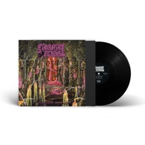 Carnal Tomb - Embalmed In Decay (Vinyl Lp) in the group VINYL / Hårdrock at Bengans Skivbutik AB (4308277)