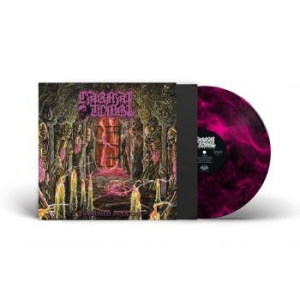 Carnal Tomb - Embalmed In Decay (Magenta Marbled in the group VINYL / Hårdrock at Bengans Skivbutik AB (4308279)