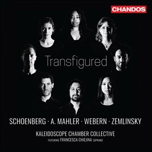 Alma Mahler Arnold Schoenberg Ant - Transfigured in the group Externt_Lager /  at Bengans Skivbutik AB (4309304)