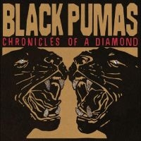 Black Pumas - Chronicles Of A Diamond (Clear Vinyl) in the group Minishops / Black Pumas at Bengans Skivbutik AB (4310808)