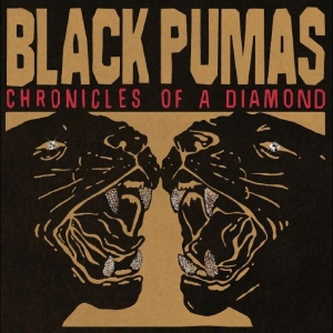 Black Pumas - Chronicles Of A Diamond (Clear Vinyl) in the group VINYL / Pop-Rock,RnB-Soul at Bengans Skivbutik AB (4310808)