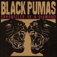 BLACK PUMAS - CHRONICLES OF A DIAMOND (INDIE EXCL in the group VINYL / Hårdrock at Bengans Skivbutik AB (4310809)