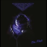 PRIEST - NEW FLESH in the group VINYL / Hårdrock,Pop-Rock,Svensk Musik at Bengans Skivbutik AB (4312234)