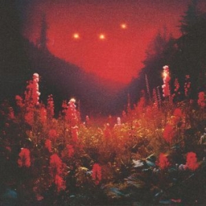 Silent Planet - Superbloom in the group CD / Hårdrock at Bengans Skivbutik AB (4312578)
