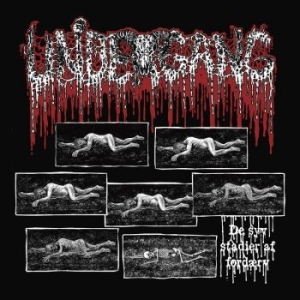 Undergang - De Syv Stadier Af Fordaerv in the group CD / New releases at Bengans Skivbutik AB (4313837)