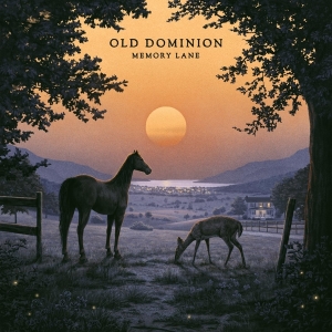 Old Dominion - Memory Lane in the group OTHER / Övrigt /  at Bengans Skivbutik AB (4313854)