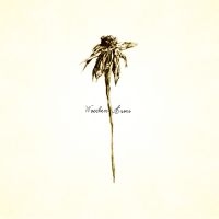 Patrick Watson - Wooden Arms in the group VINYL / Rock at Bengans Skivbutik AB (4314287)