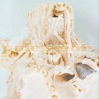 Pale Saints - In Ribbons (Black Vinyl) in the group VINYL / Rock at Bengans Skivbutik AB (4315251)