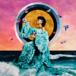 Allison Russell - The Returner in the group OTHER / Övrigt /  at Bengans Skivbutik AB (4315471)