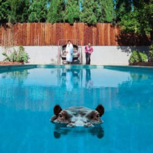 Sparks - Hippopotamus in the group CD / Pop-Rock at Bengans Skivbutik AB (4365196)