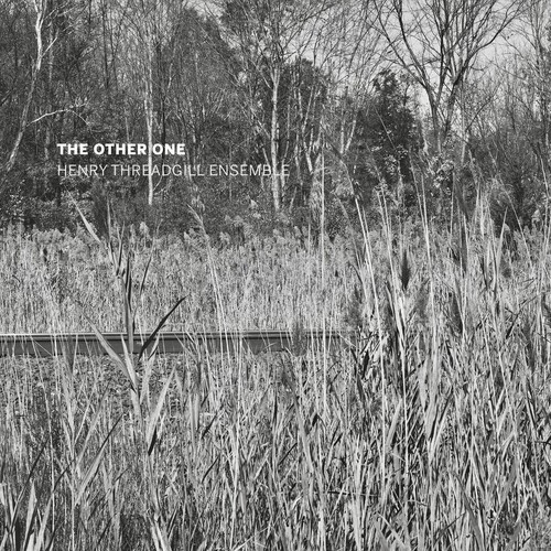 Henry Threadgill Ensemble - The other one in the group CD / Jazz/Blues at Bengans Skivbutik AB (4375185)