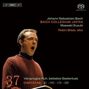 Bach - Cantatas Vol 37 in the group OTHER / Övrigt /  at Bengans Skivbutik AB (460980)