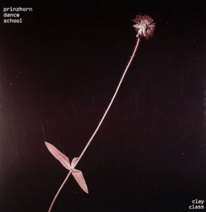 Prinzhorn Dance Scho - Clay Class - Vinyl in the group VINYL / Vinyl Electronica at Bengans Skivbutik AB (480719)
