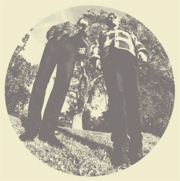 Segall Ty & White Fence - Hair in the group VINYL / Bestsellers at Bengans Skivbutik AB (482129)