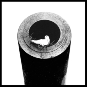 Red Doves - Off The Grid Lp in the group Labels / Gaphals / Red Doves at Bengans Skivbutik AB (483235)