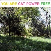 Cat Power - You Are Free in the group VINYL / Pop-Rock at Bengans Skivbutik AB (483696)