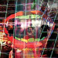 Animal Collective - Centipede Hz in the group VINYL / Pop-Rock at Bengans Skivbutik AB (484056)