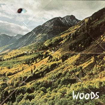 Woods - Songs Of Shame in the group VINYL / Rock at Bengans Skivbutik AB (485165)