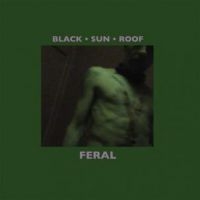 Black Sun Roof - Feral (Lp+Cd) in the group VINYL / Pop-Rock at Bengans Skivbutik AB (485852)
