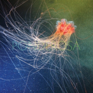 Ponderosa - Pool Party in the group VINYL / Pop-Rock at Bengans Skivbutik AB (486651)