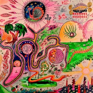 Youth Lagoon - Wondrous Bughouse in the group VINYL / Pop-Rock at Bengans Skivbutik AB (486831)